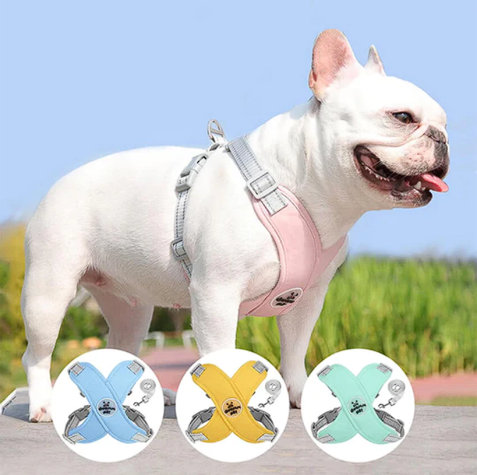 Ultra French Bulldog Harnesses - Frenchie Complex Shop