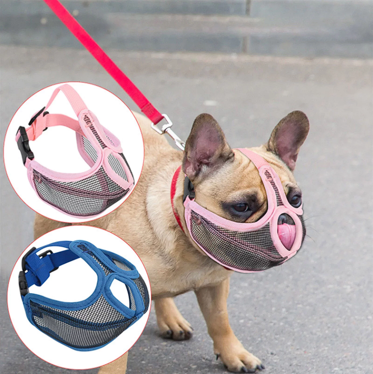 Muzzle for a french bulldog best sale