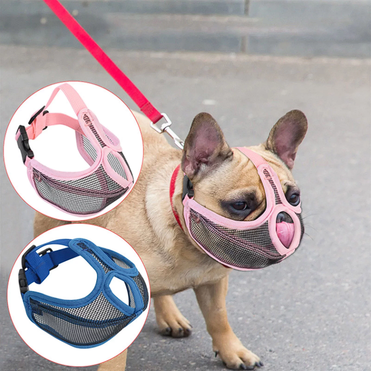 Vet Muzzle for French Bulldogs - Main Image