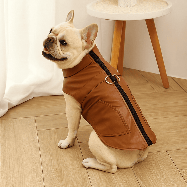 Waterproof French Bulldog Jacket with Harness Rings - Brown / S - Frenchie Complex Shop