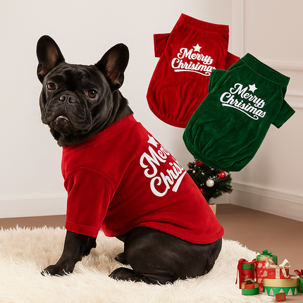 Winter Christmas French Bulldog Shirt - Red / S - Frenchie Complex Shop