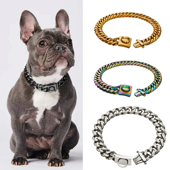 French Bulldog Chain Collar Stainless Steel 18K Gold Plated - Frenchie Complex Shop