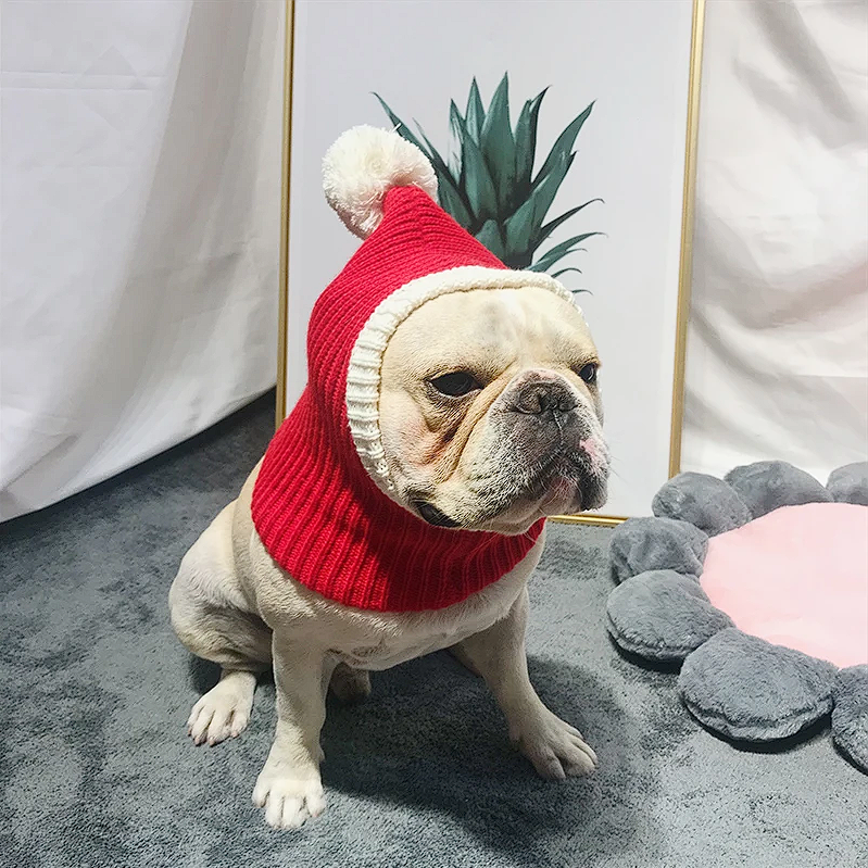 Christmas French Bulldog Hat Frenchie Complex