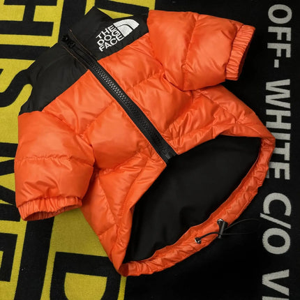 The Dog Face Jacket - Orange / S - Frenchie Complex Shop