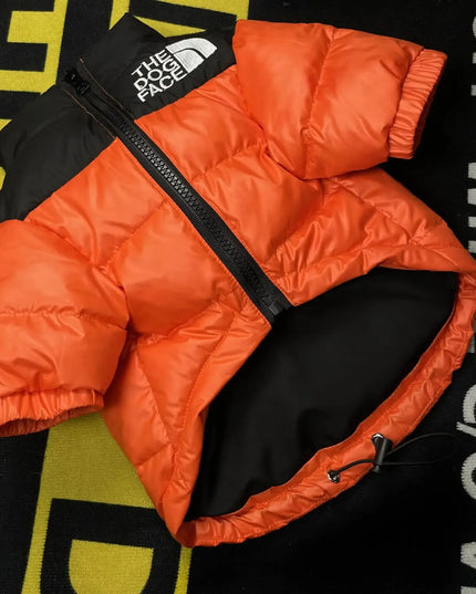 The Dog Face Jacket - Orange / S - Frenchie Complex Shop