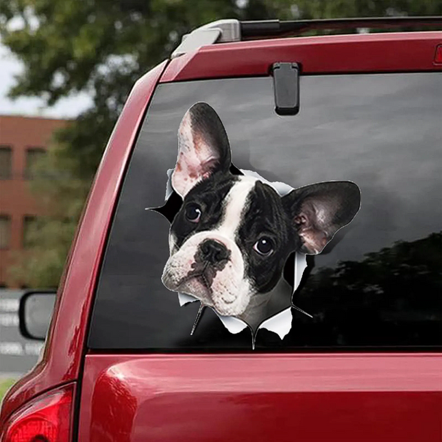 3D Creative French Bulldog Car Stickers - 2 - Frenchie Complex Shop