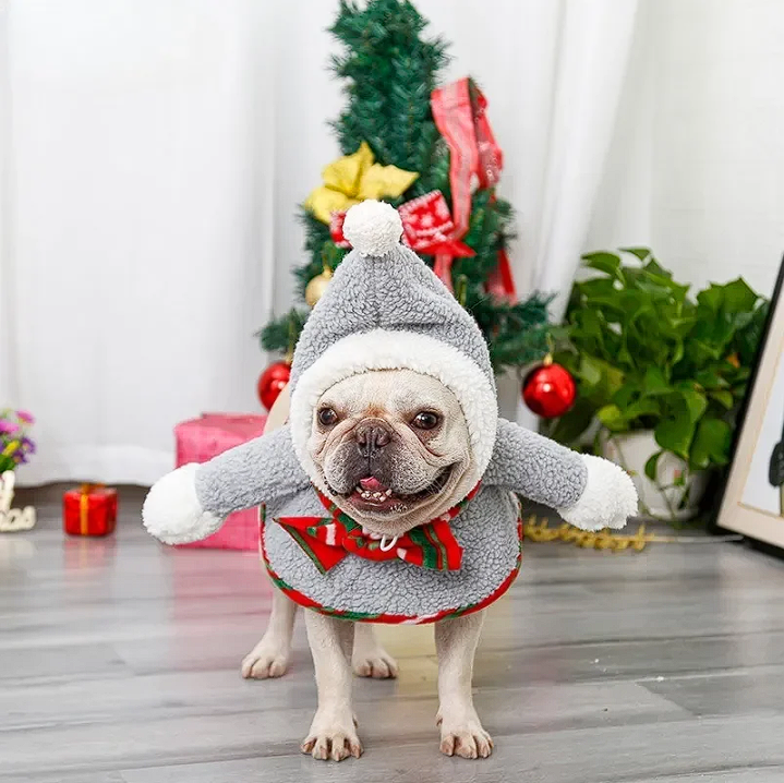 French bulldog clearance santa costume