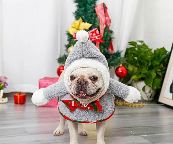 french bulldog christmas dress Christmas Dress A Pet For Dogs And Cats Red And... From Bag1168,  Rs.1,974.43