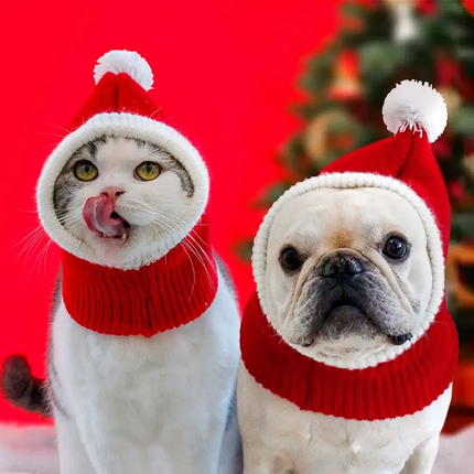 Christmas French Bulldog Hat - Frenchie Complex Shop
