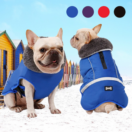 Ultra Warm French Bulldog Coat - Frenchie Complex Shop