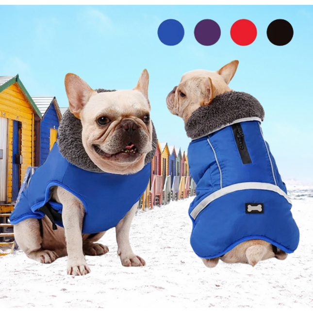 Ultra Warm French Bulldog Coat - Frenchie Complex Shop