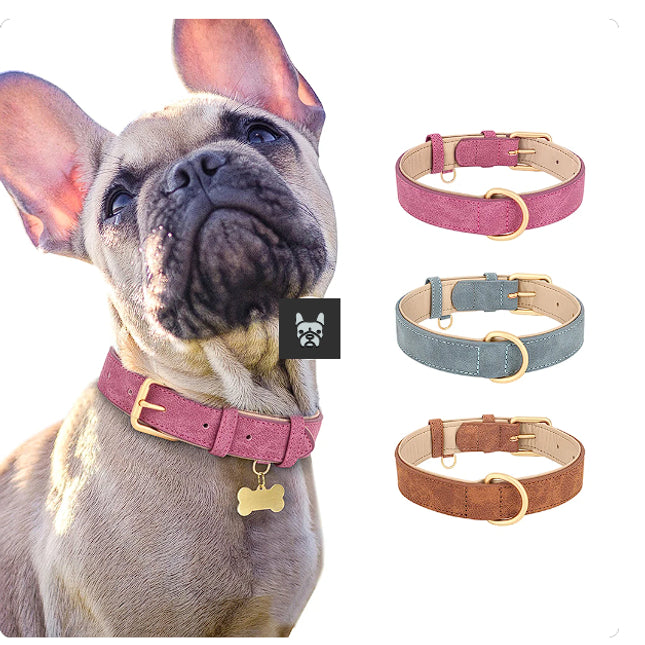 Elegant French Bulldog Collars - Frenchie Complex Shop