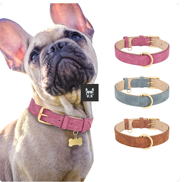Elegant French Bulldog Collars - Frenchie Complex Shop