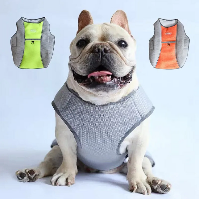 Summer Frenchie Cooling Vest - Frenchie Complex Shop