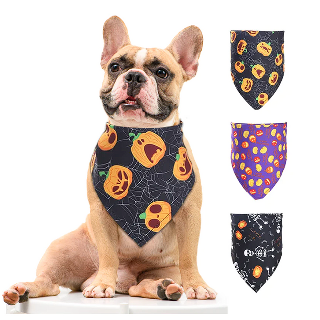 Halloween Scarf French Bulldog Bandana - Frenchie Complex Shop