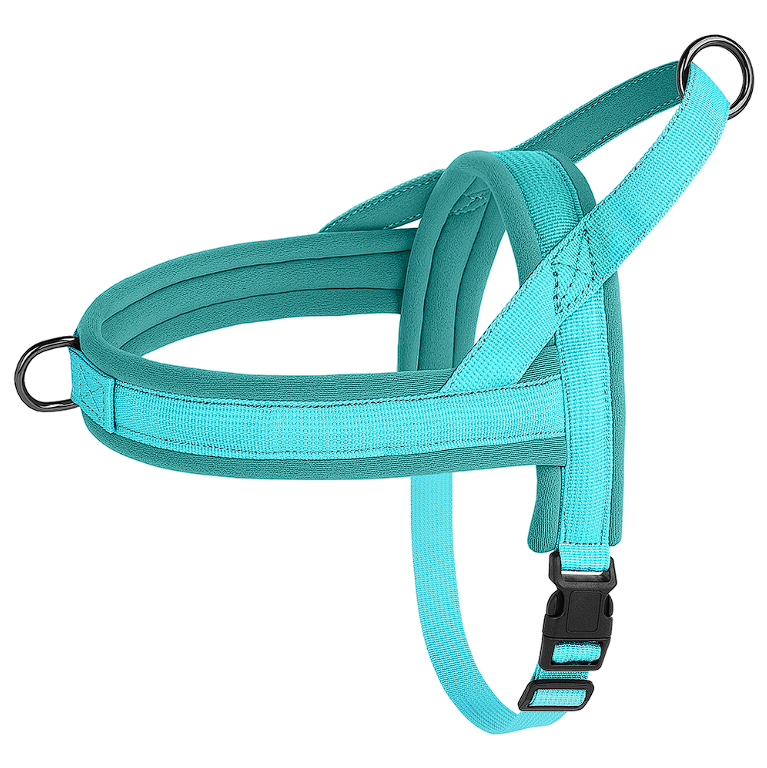 Adjustable French Bulldog Harness - Turquoise / XS - Frenchie Complex Shop