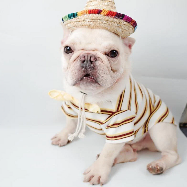 Straw French Bulldog Hat - Frenchie Complex Shop