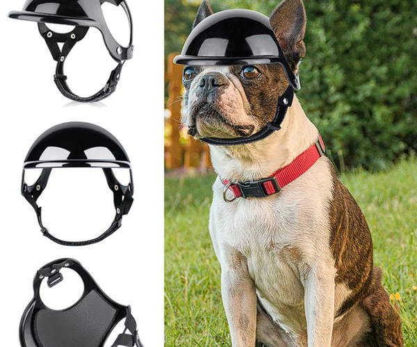 French Bulldog Protection Helmet