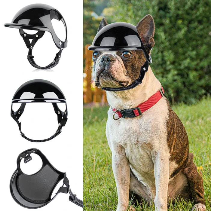 French Bulldog Accessories Frenchie Complex Shop