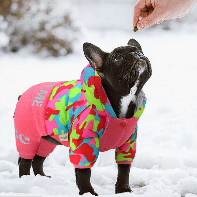 Ultra Warm French Bulldog Jacket - Frenchie Complex Shop