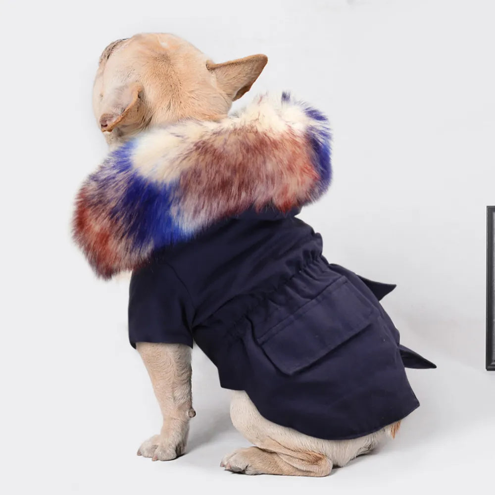 Military Ultra Warm French Bulldog Jacket - XXL / Blue - Frenchie Complex Shop