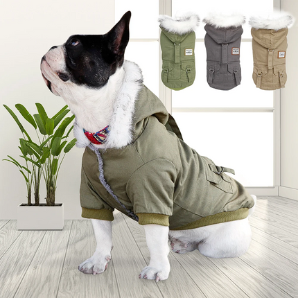 Ultra Modern French Bulldog Jacket - Frenchie Complex Shop