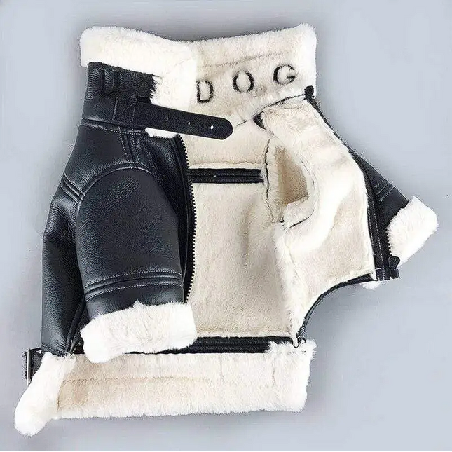 French Bulldog Leather Jacket - XS / Black - Frenchie Complex Shop