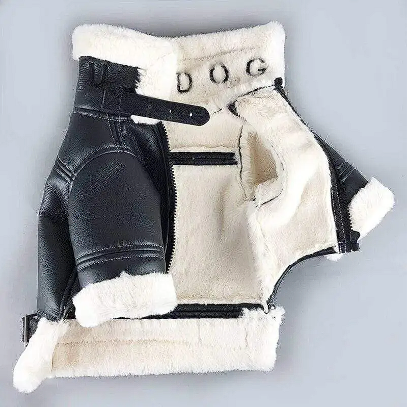 French Bulldog Leather Jacket - XS / Black - Frenchie Complex Shop