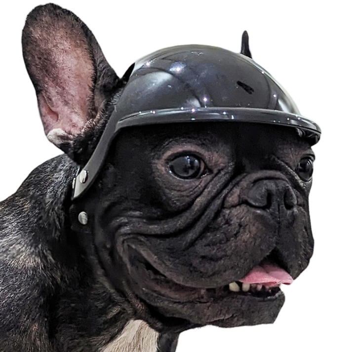 frenchie motorcycle helmet French Bulldog Protection Helmet