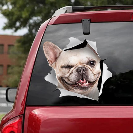 3D Creative French Bulldog Car Stickers - 4 - Frenchie Complex Shop