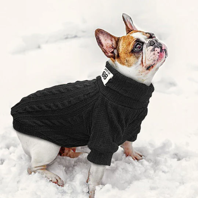 Warm Knitted French Bulldog Sweaters - Black / XS - Frenchie Complex Shop