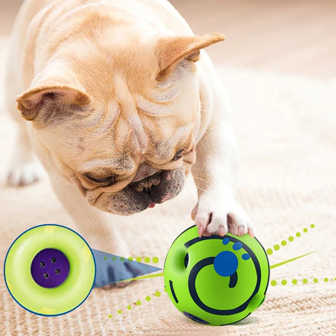 Self Rolling French Bulldog Toy Ball - Frenchie Complex Shop
