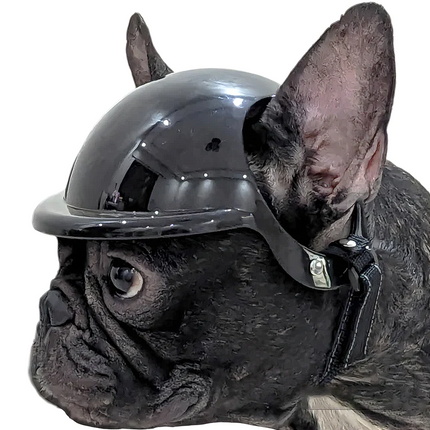 French Bulldog Protection Helmet - Frenchie Complex Shop