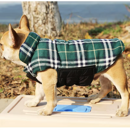 Plaid French Bulldog Jackets - Frenchie Complex Shop