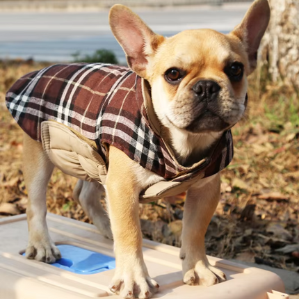 Plaid French Bulldog Jackets - Frenchie Complex Shop