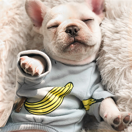 Banana French Bulldog Pajama - Frenchie Complex Shop