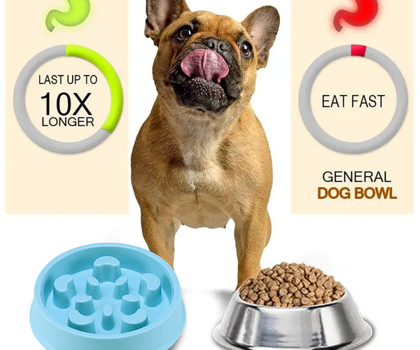 blue wilderness cat food wet Blue Buffalo Wilderness Wild Delights Cat Food, Chicken & Turkey