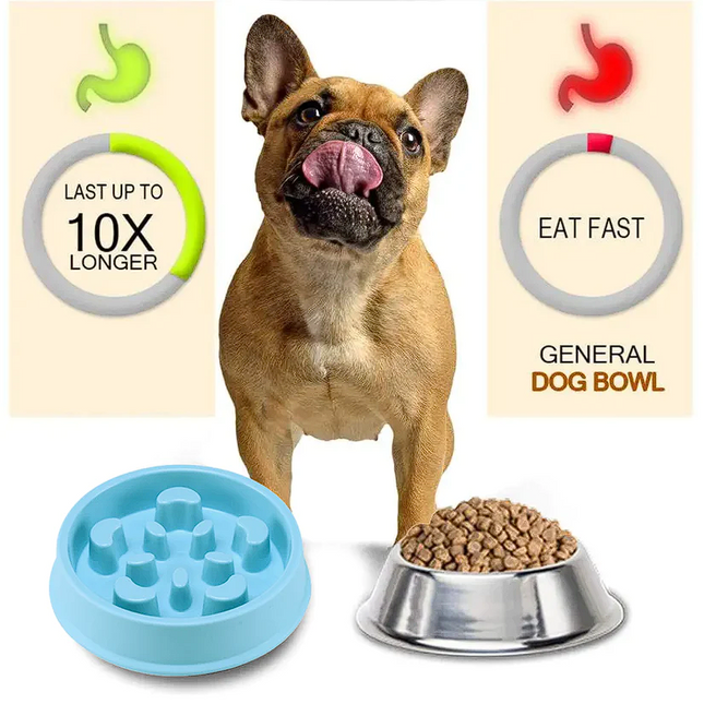Anti Choke Frenchie Feeding Bowl - Frenchie Complex Shop