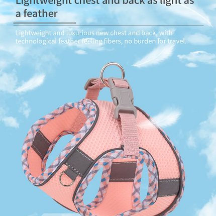 Breathable French Bulldog Harness Set - Blue / XXS - Frenchie Complex Shop