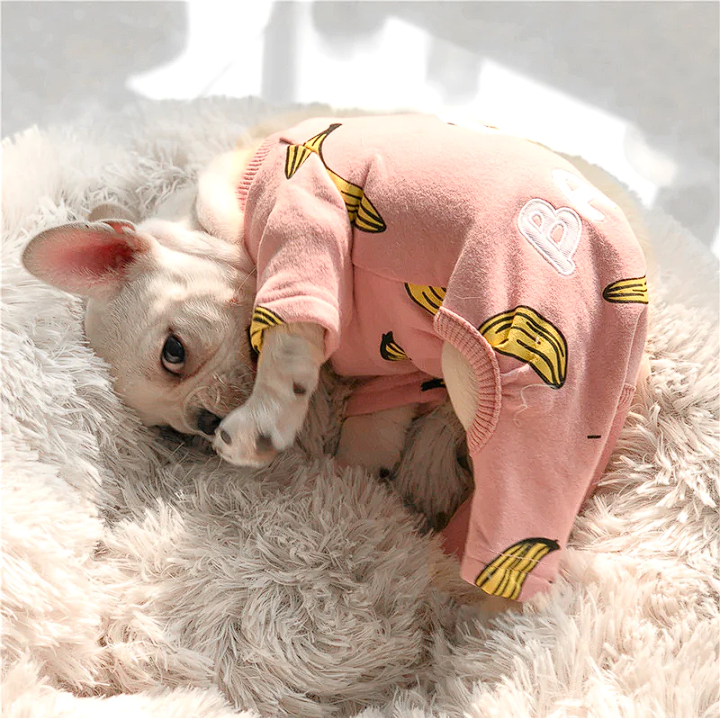 Frenchie print pajamas orders