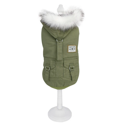 Ultra Modern French Bulldog Jacket - S / Dark Green - Frenchie Complex Shop