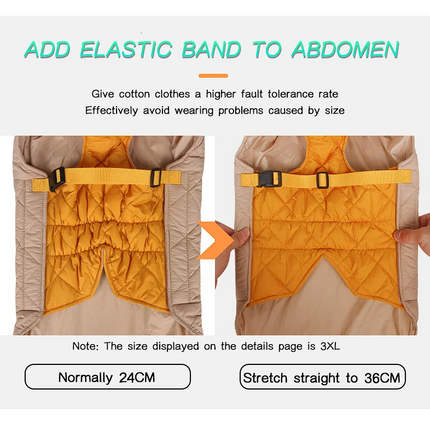 Ultra Quality French Bulldog Vest - Frenchie Complex Shop