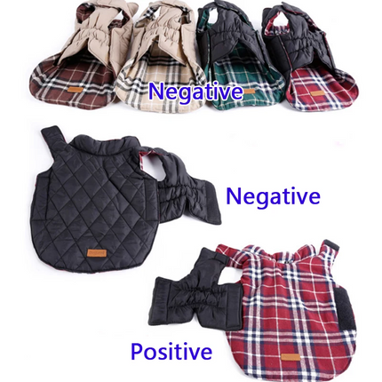 Plaid French Bulldog Jackets - Frenchie Complex Shop