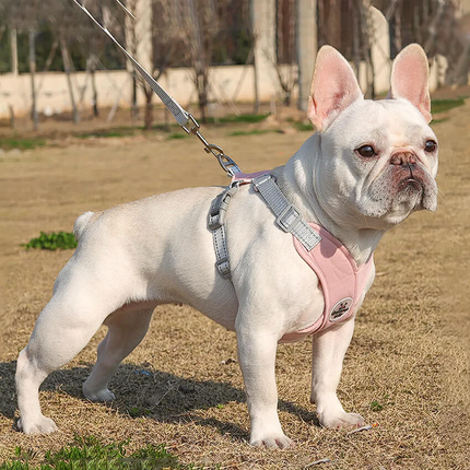 Ultra French Bulldog Harnesses - Frenchie Complex Shop