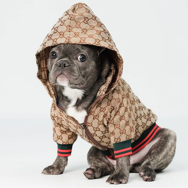 Luxury French Bulldog Jacket - Frenchie Complex Shop