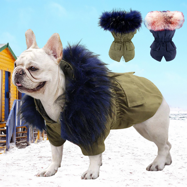 Military Ultra Warm French Bulldog Jacket - S / Blue - Frenchie Complex Shop