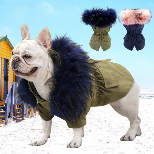 Military Ultra Warm French Bulldog Jacket - Frenchie Complex Shop