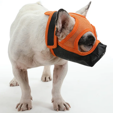 Premium French Bulldog Muzzles - Orange black / M - Frenchie Complex Shop