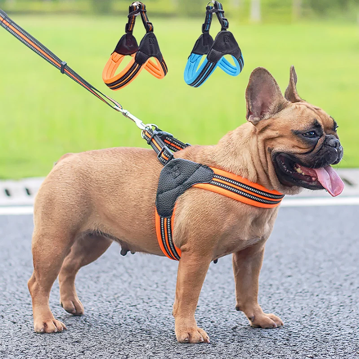 No Pull French Bulldog Harness - Frenchie Complex Shop