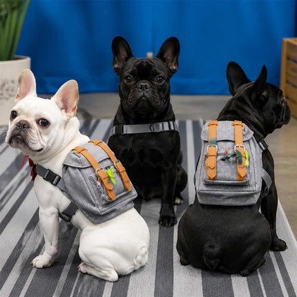 Silver French Bulldog Backpack - Silver - Frenchie Complex Shop